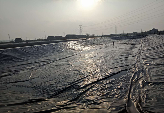 景觀湖現(xiàn)場圖片