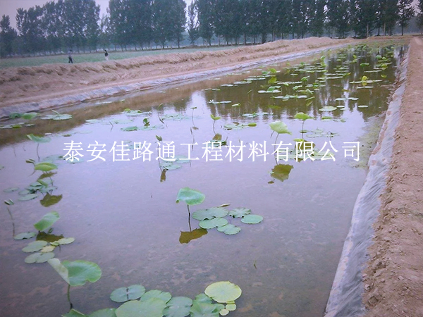 養殖防滲膜施工質量咋檢測?這些技巧要掌握 養殖防滲膜施工質量咋檢測?這些技巧要掌握