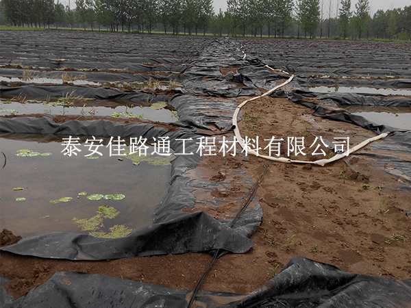 養殖防滲膜養護別大意,這些方法延長壽命 養殖防滲膜養護別大意,這些方法延長壽命